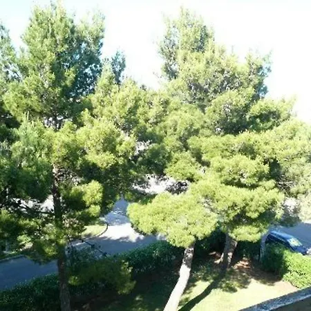 T2 Proche Avec Garage - 4 Pers. - Fr-1-251-930 Bormes-les-Mimosas